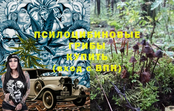 прущая мука Белокуриха